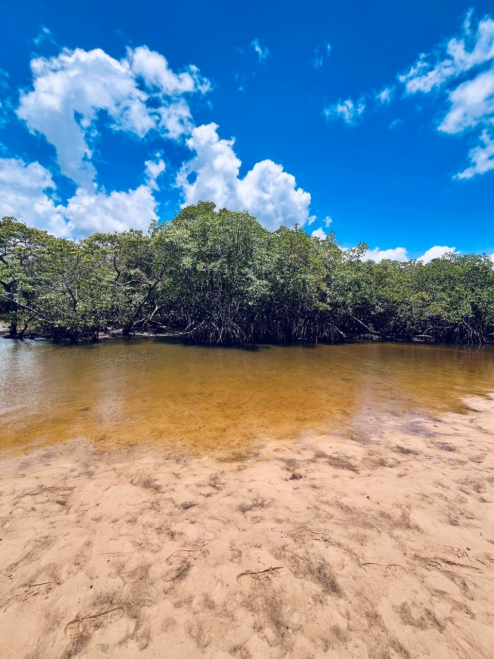 Brasilien - Jacuípe - 