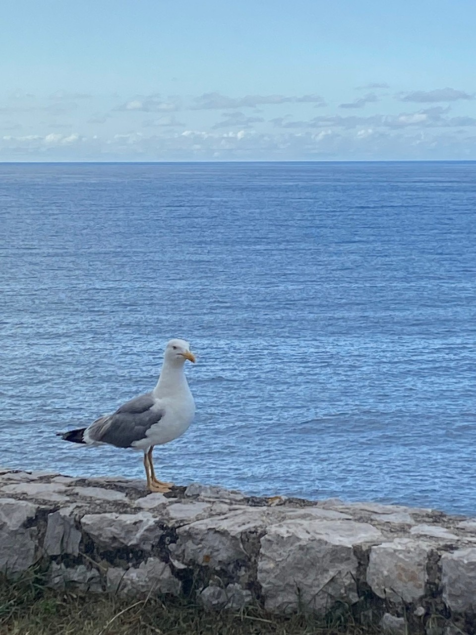 Spanien - Llanes - Hier hat jemand genau aufgepasst