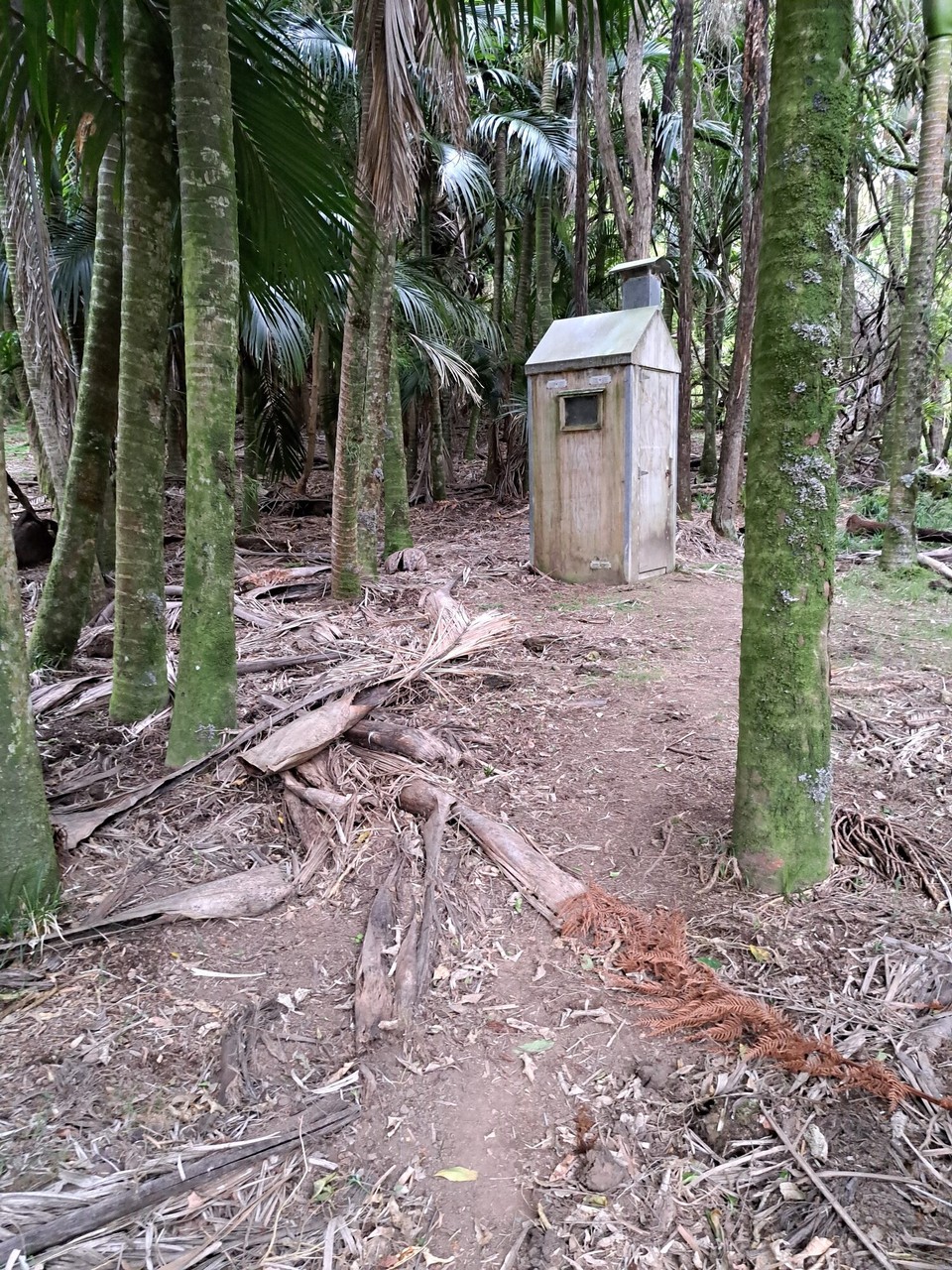 Neuseeland - Parikino - WCHäuschen im Wald 