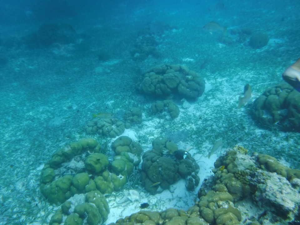 Belize -  - 