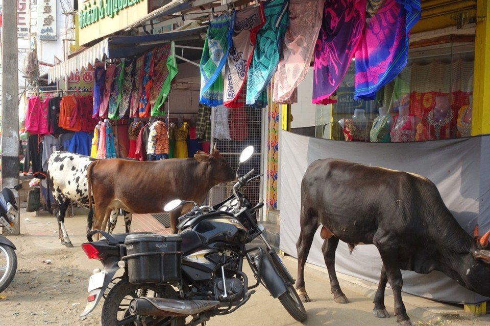 Indien - Mettuppalaiyam - 