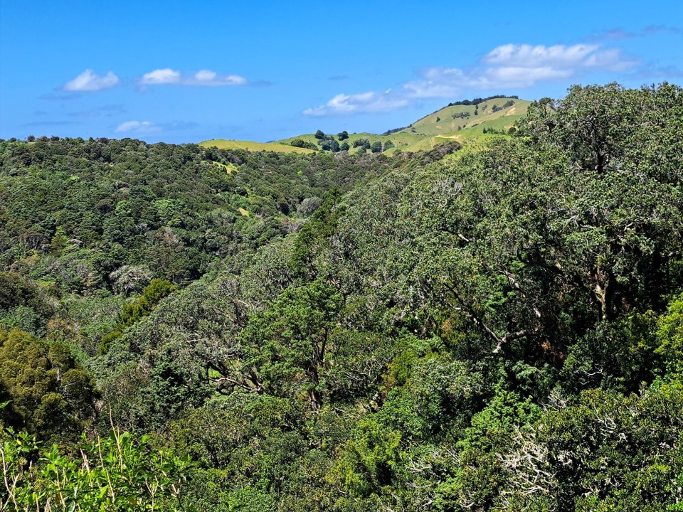 Neuseeland - Matapouri - 