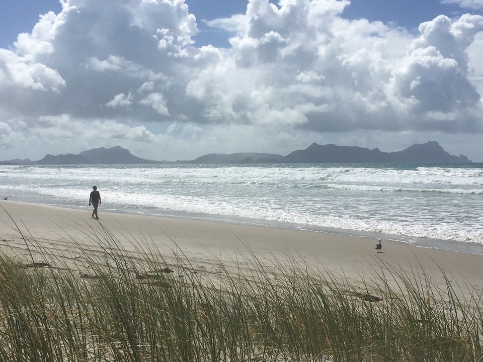 Neuseeland - Whangaparaoa - 