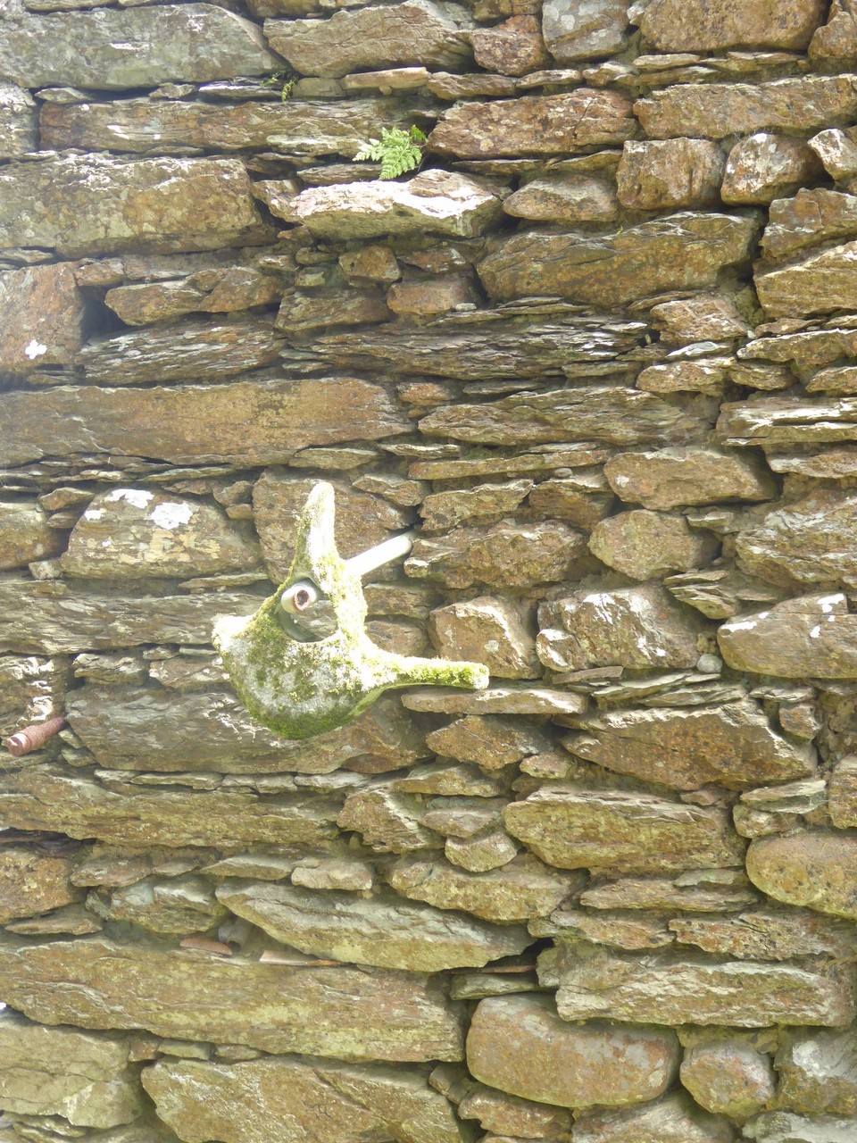 Ireland - Bere Island - A whale vertebrae.  Whaling was banned in Irish waters in 1937.