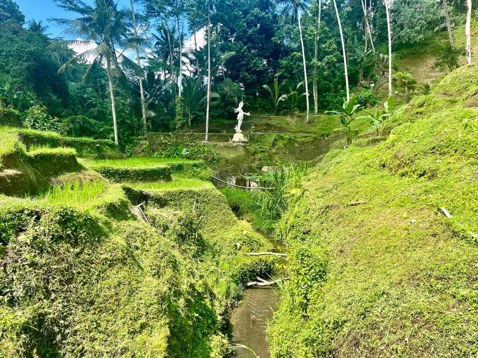 Indonesien - Gianyar - 