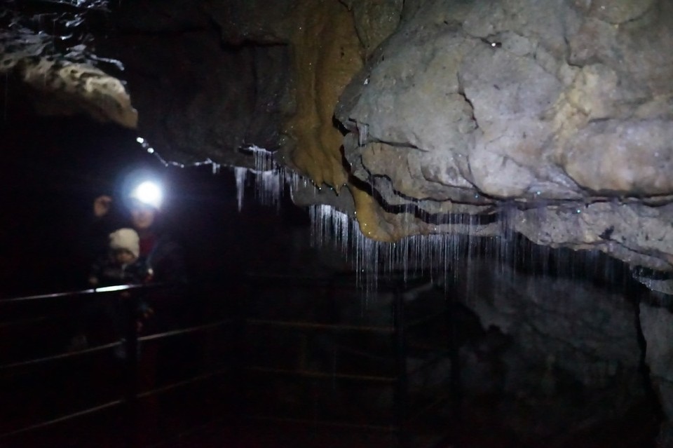Neuseeland - Waitomo-Distrikt - 