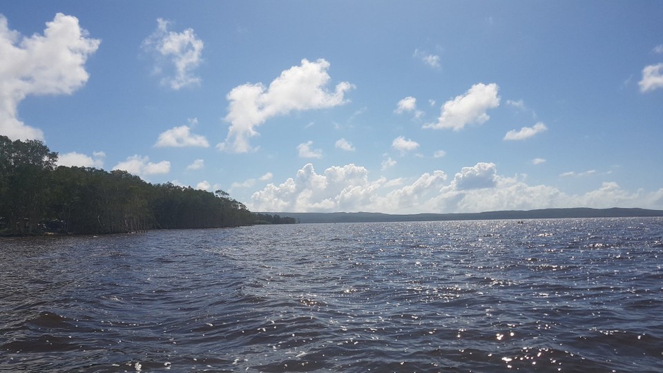 Australia - Cooroibah - 