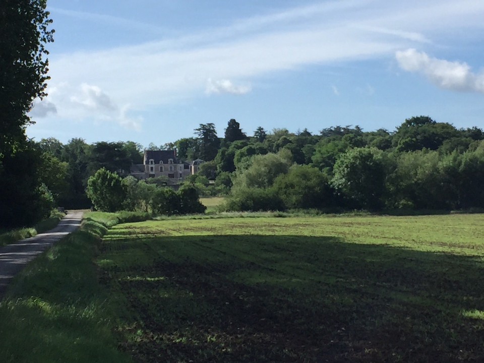 Frankreich - Candé-sur-Beuvron - 