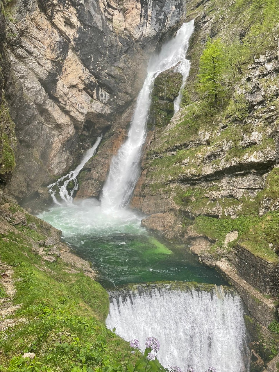 Slowenien - Bohinjsko Jezero - 