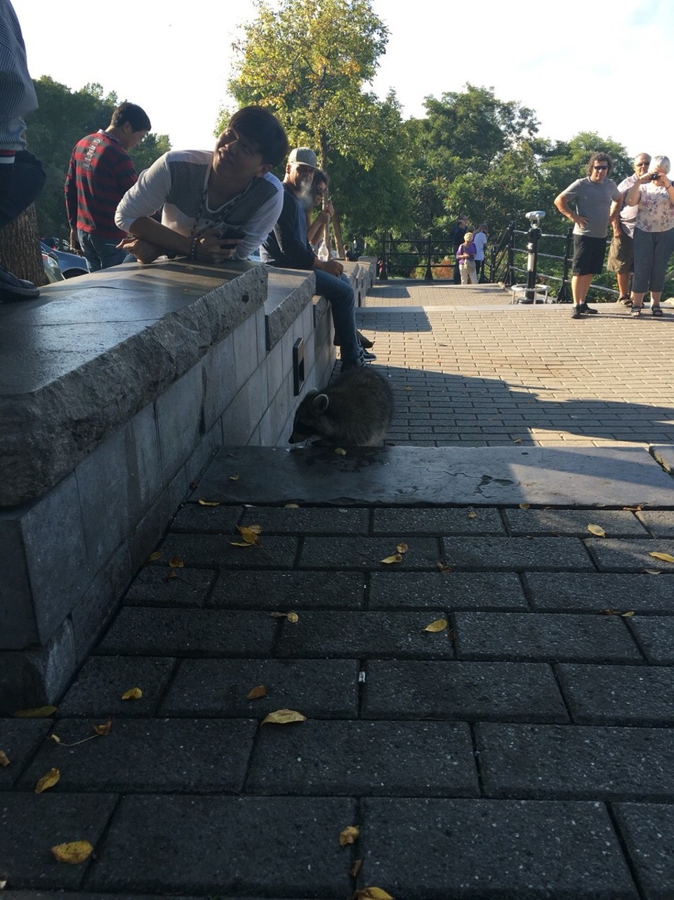 Kanada - Montréal - Leider kein Elch ;) 