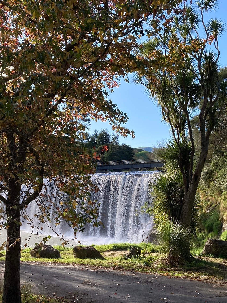 Neuseeland - Gisborne - Ein Wasserfall darf am heutigen Tag natürlich auch nicht fehlen 🤩