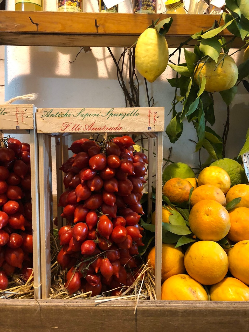 Italien - Vettica Minore - 
