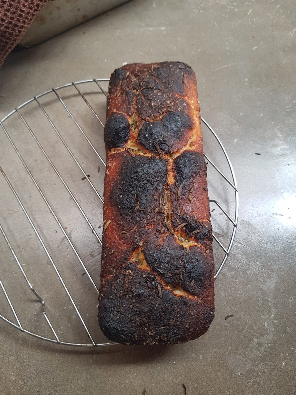 Nicaragua - Dipilto - First try sourdough focaccia in wood fired oven - mucho calor eh?!