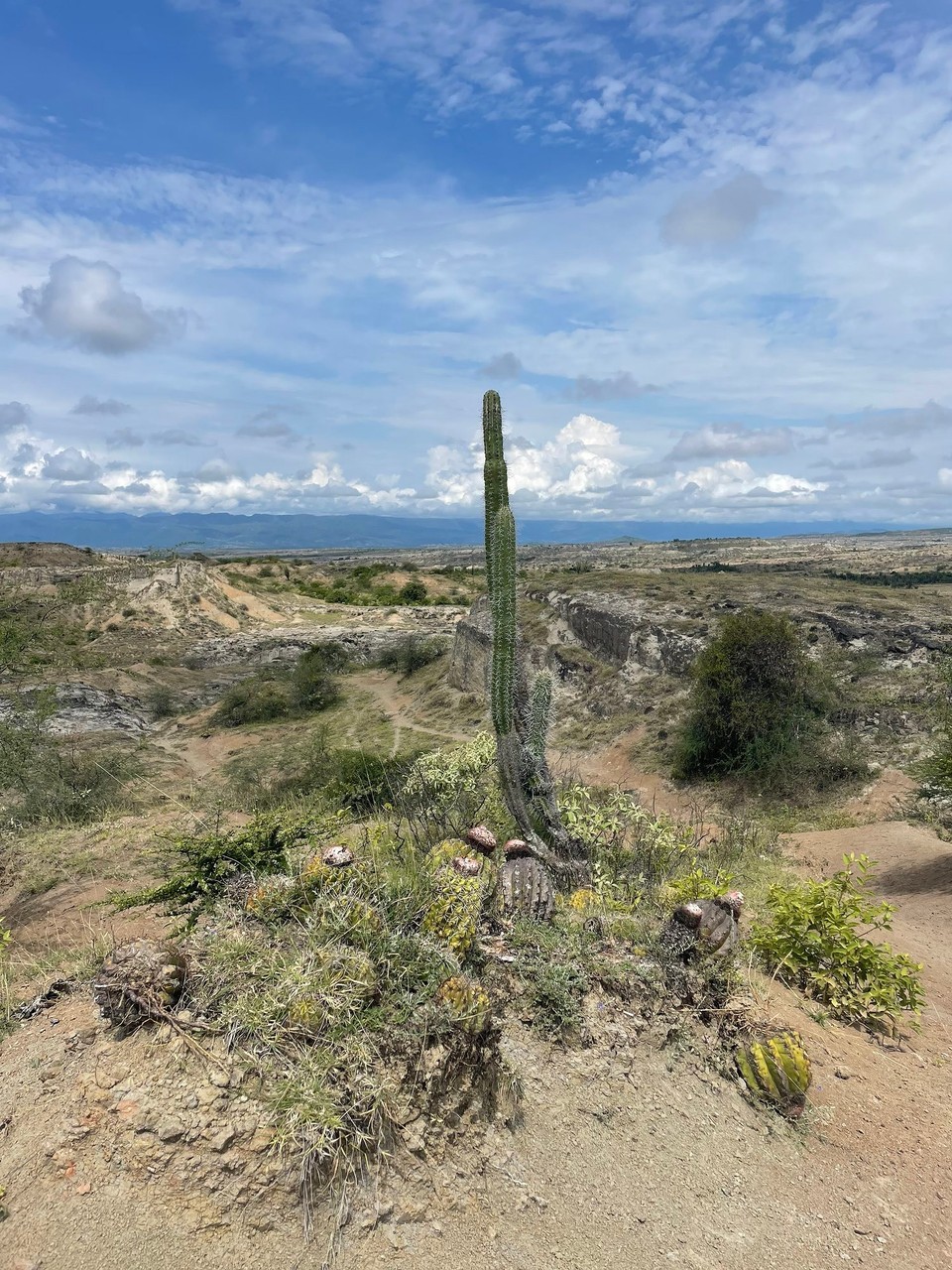 Kolumbien - Villavieja - 🌵 