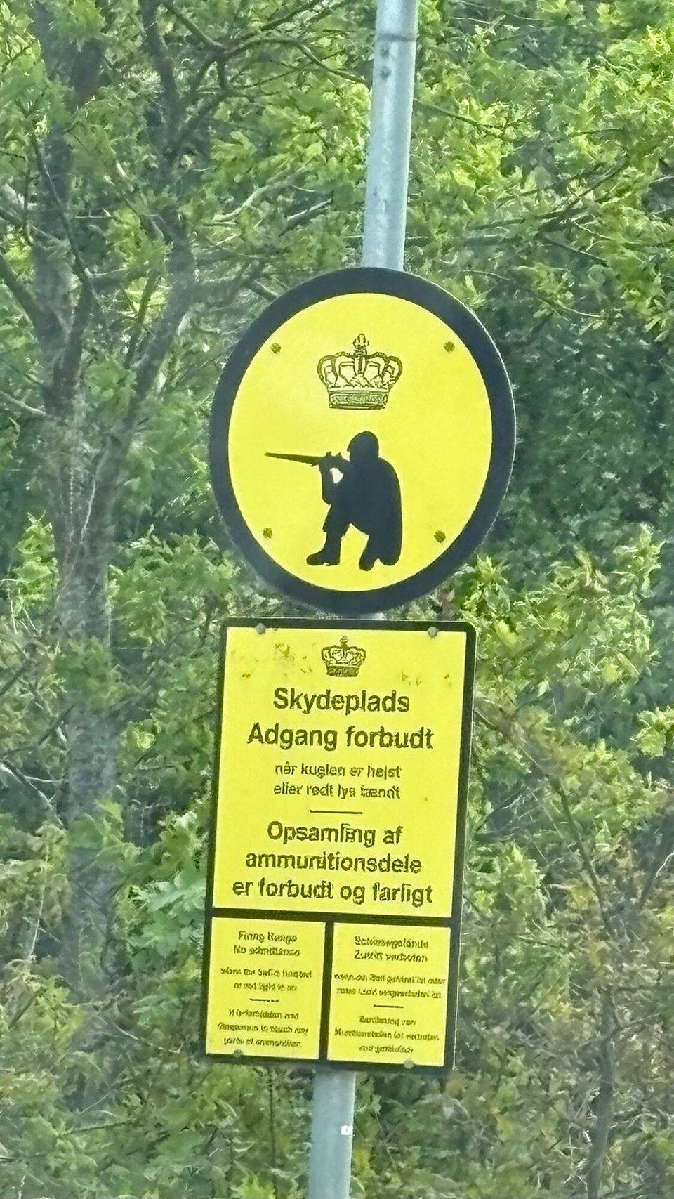 Deutschland - Seevetal - Schießt hier der König persönlich?