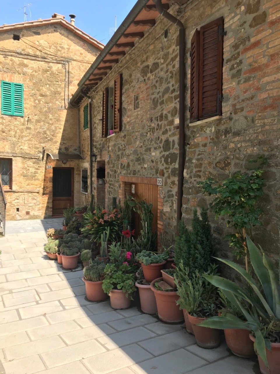 Italien - Montalcino - 
