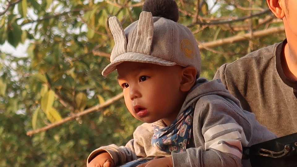 Vietnam - Ninh Bình - 
