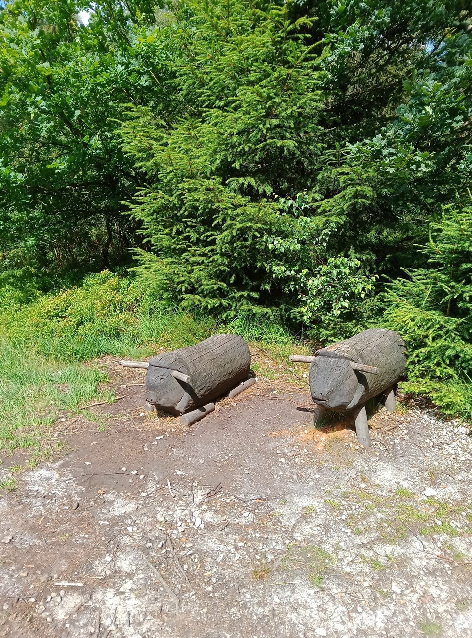 Deutschland - Horn-Bad Meinberg - Auch nicht schlecht...