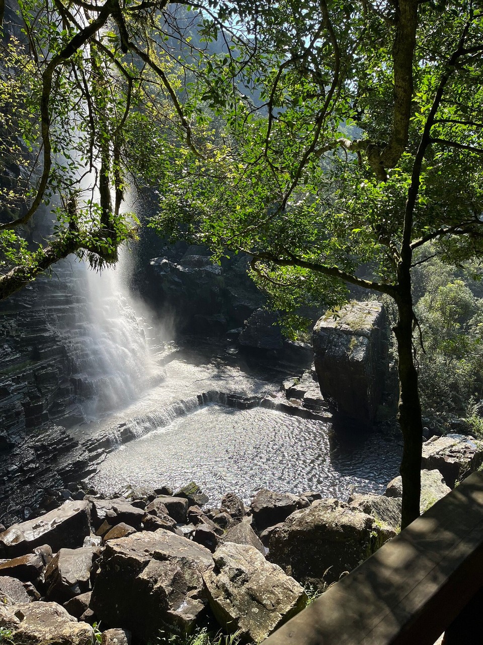 South Africa - Randburg - 