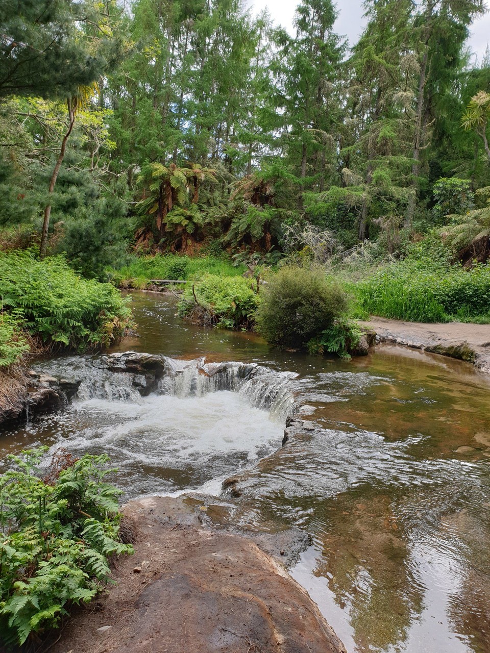Neuseeland - Rotorua - Kerosine Creek