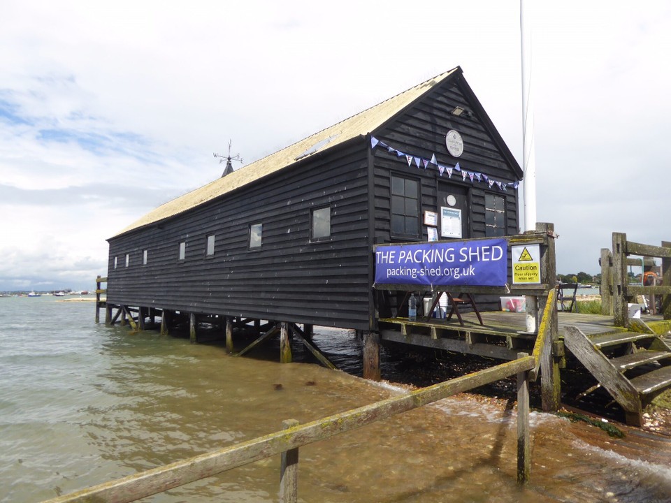 United Kingdom - Colchester - The Ministry for Fisheries and Agriculture became involved and suggested introducing Rock Oysters, which can co-exist with Native oysters, and also be eaten all year round. Native oysters can only be eaten in months with an R in them, as they spat (breed) in the summer months.