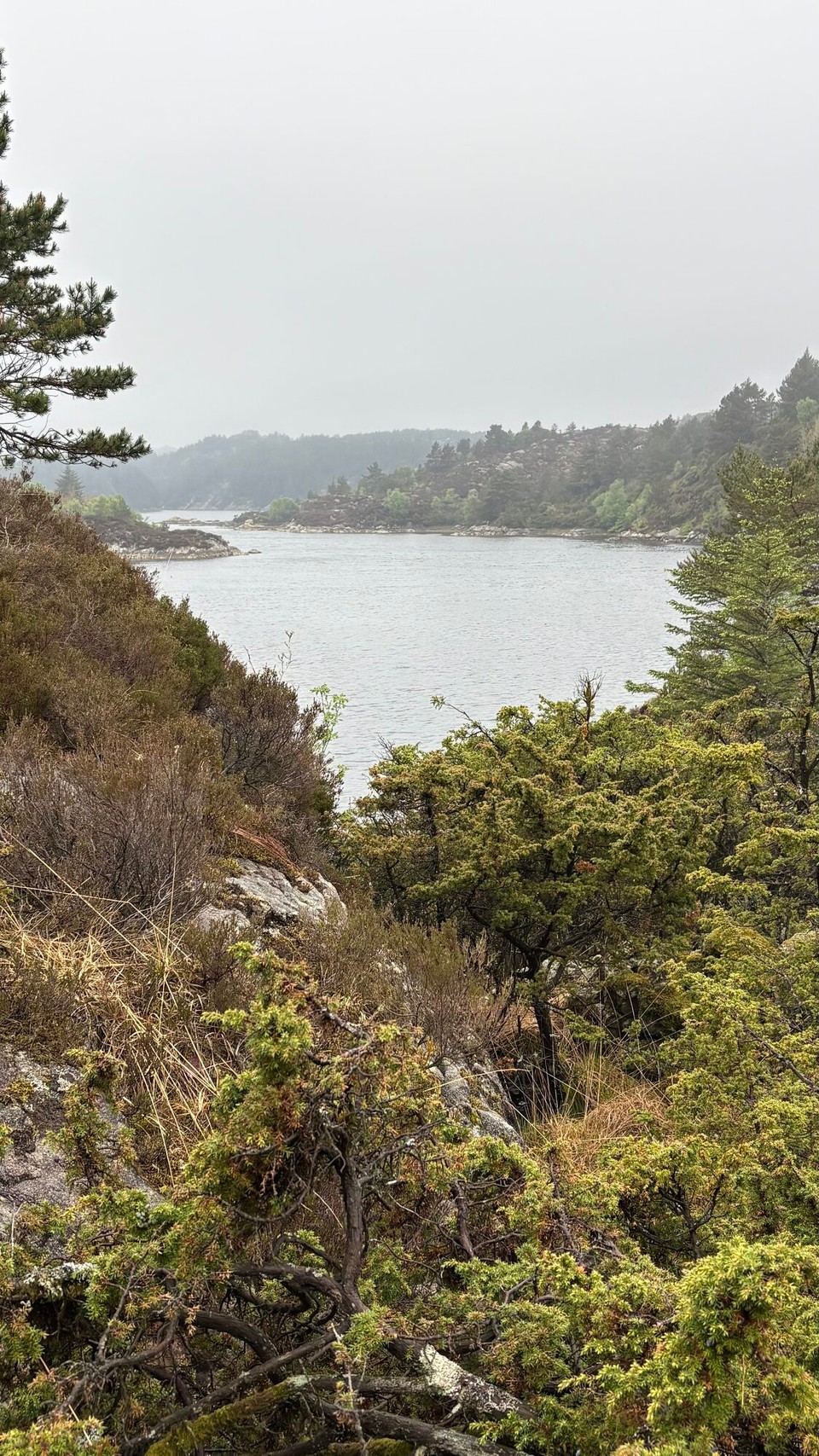 Norwegen - Svortland - aber immer mit tollem Ausblick 