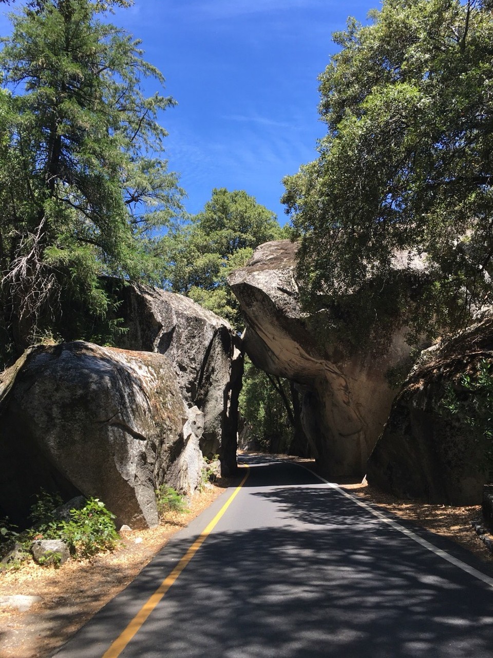 Vereinigte Staaten - Groveland - 