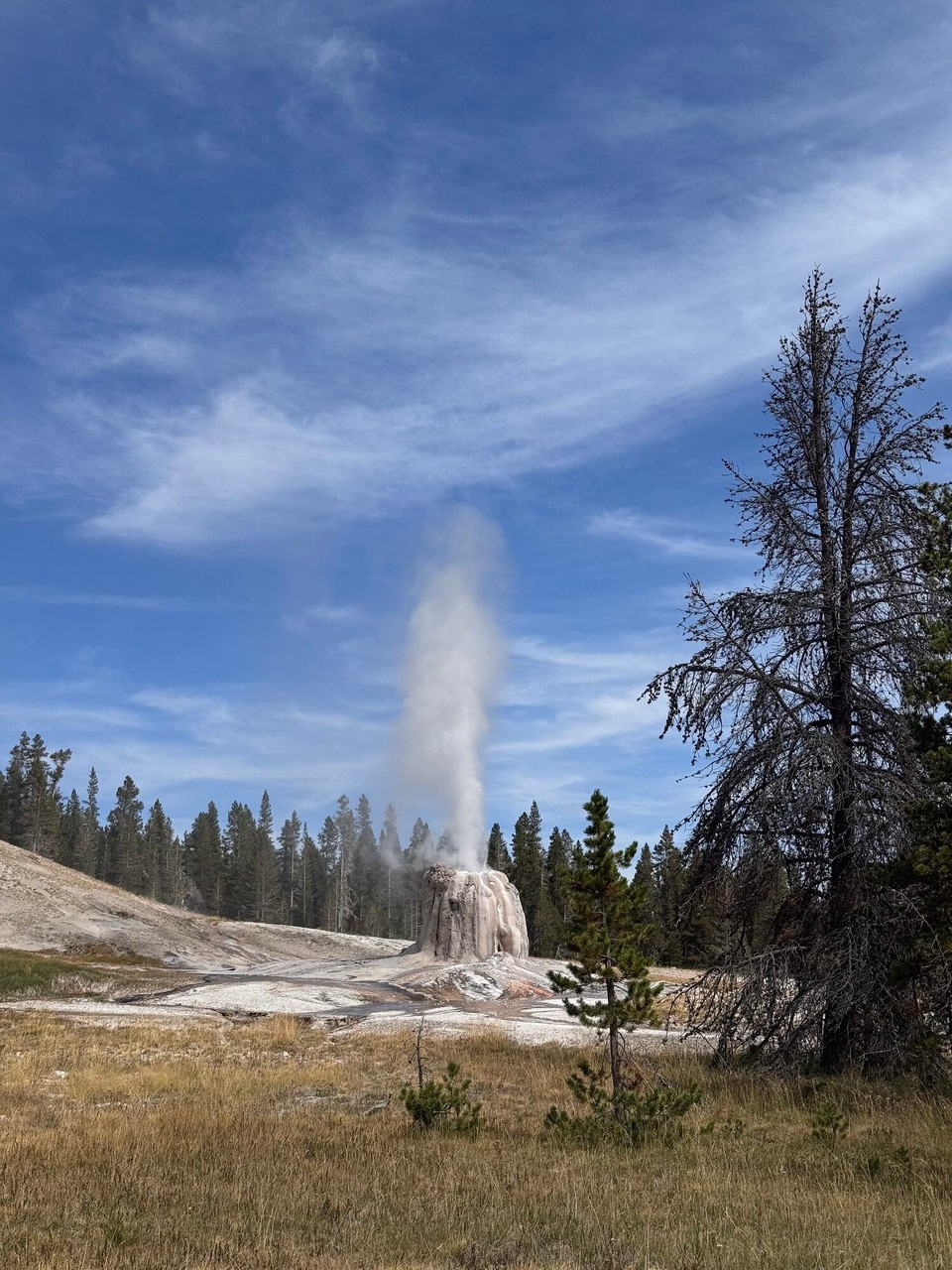 Vereinigte Staaten - Yellowstone National Park - Vom Old Faithful simmer denn los gwanderet zum Lone Star Geyser. Ufem härewäg simmer zimmlich ellei gsi und de Wäg hed au chli verlasse usgseh. Mier hend dementsprechend eher chli Respekt gha und sind sehr froh um üses Bäreglöggli gsi.😅🐻