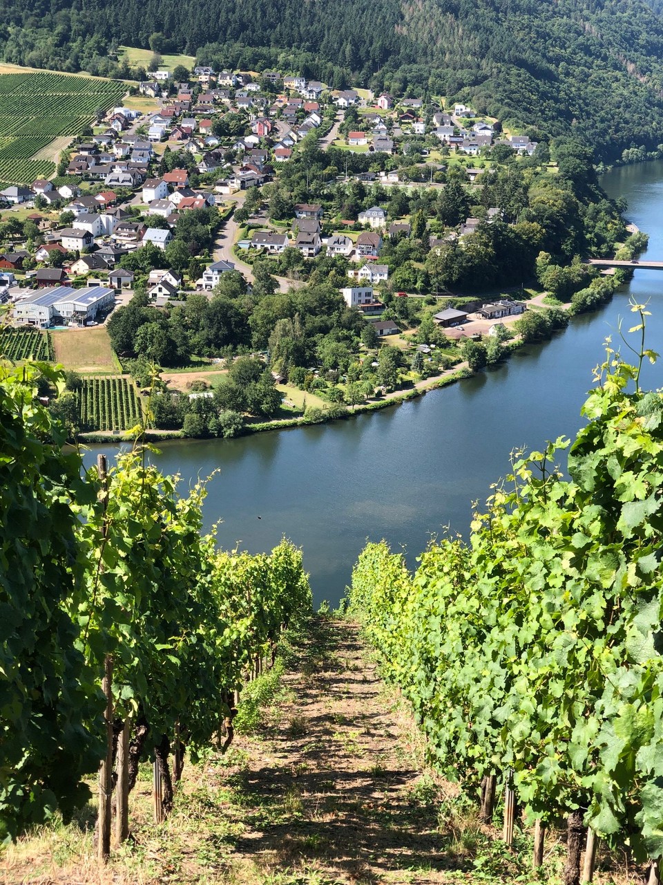 Deutschland - Mehring - Steil, steiler, ....
