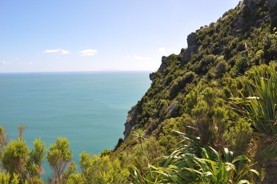 Neuseeland - Papamoa - 