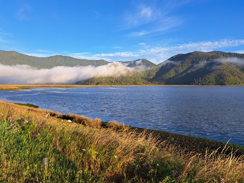 Neuseeland - Pelorus Bridge - 