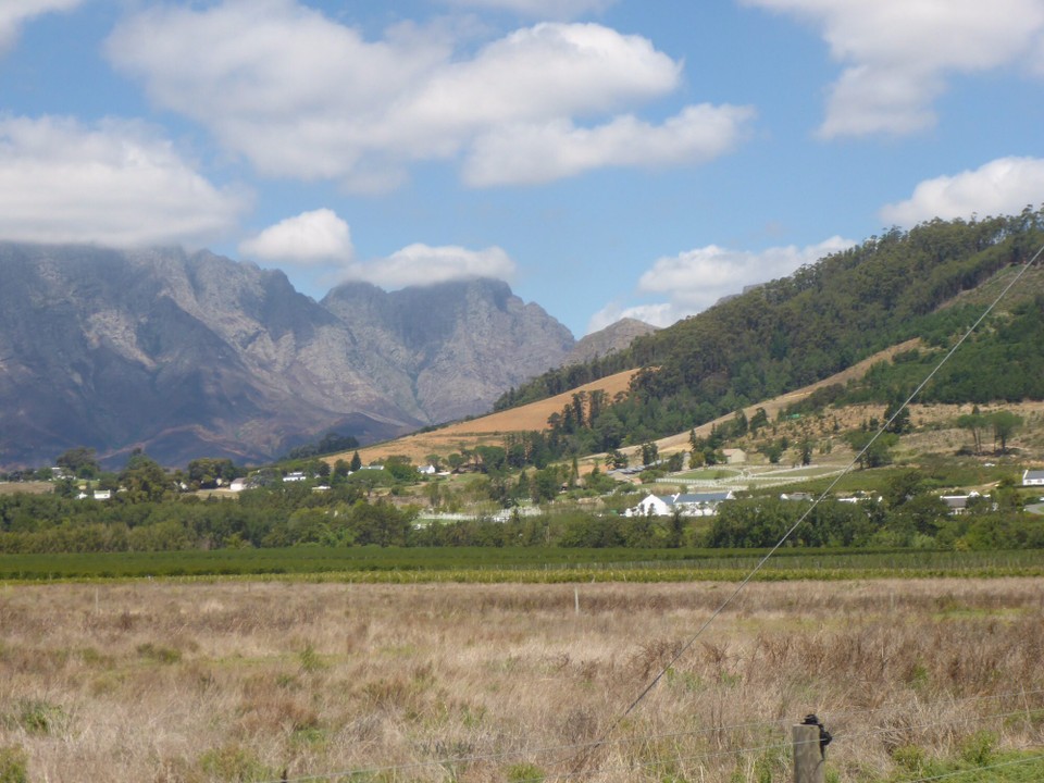 Südafrika - Stellenbosch - 