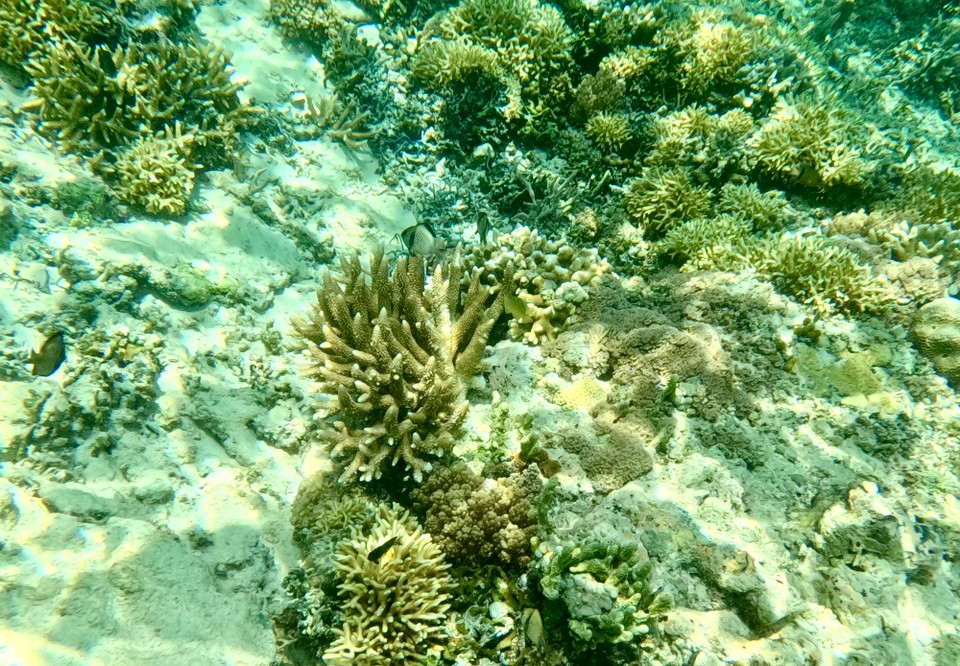 Indonesien - Kabupaten Lombok Utara - 
