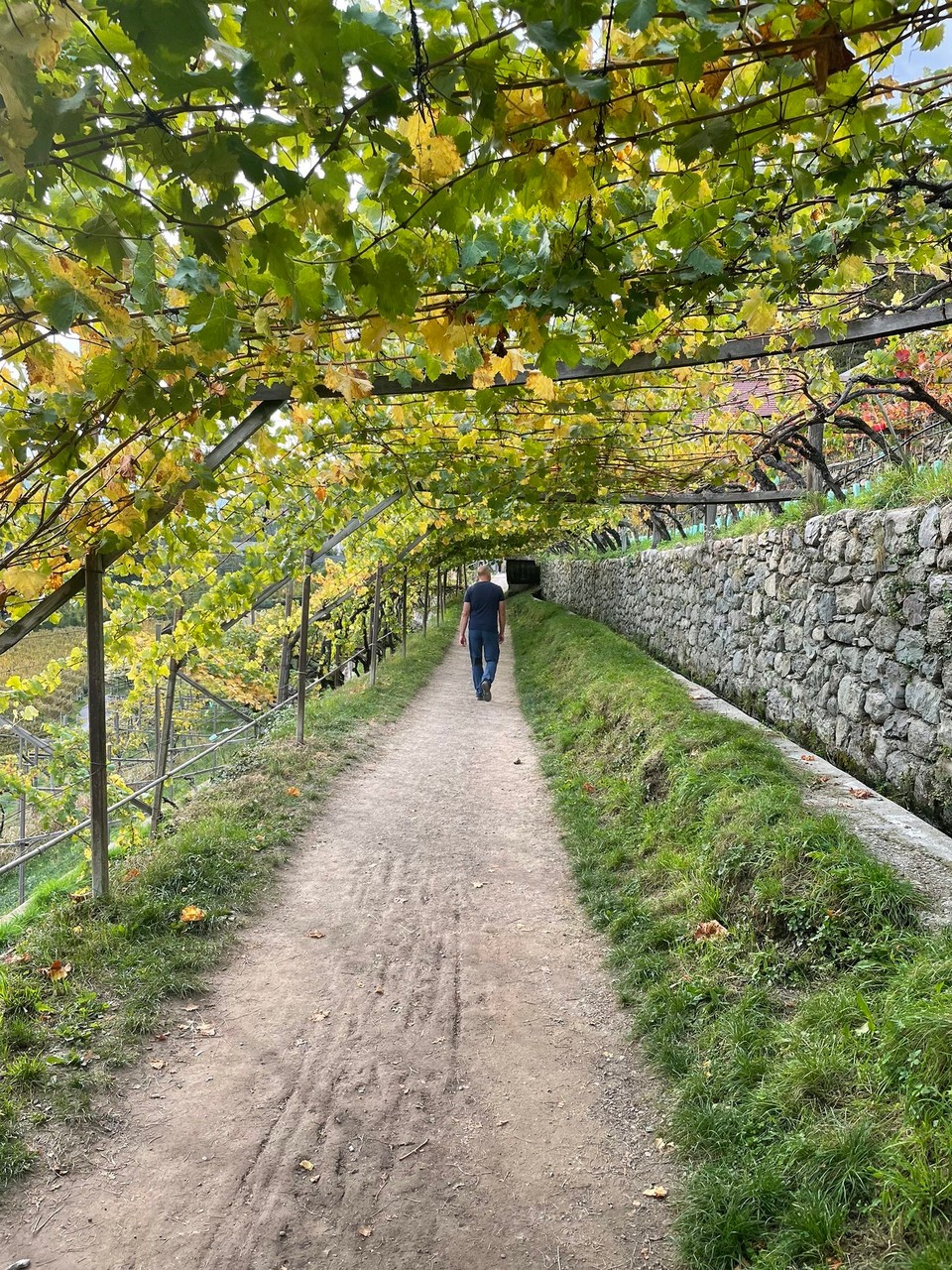 Italien - Tirol - 