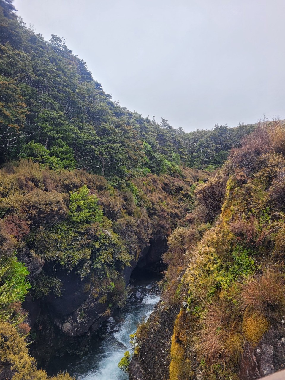 Neuseeland - Tongariro-Nationalpark - 