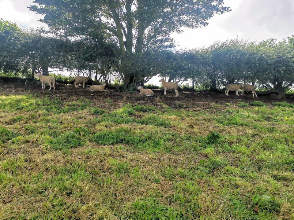 United Kingdom - Lansdown - 