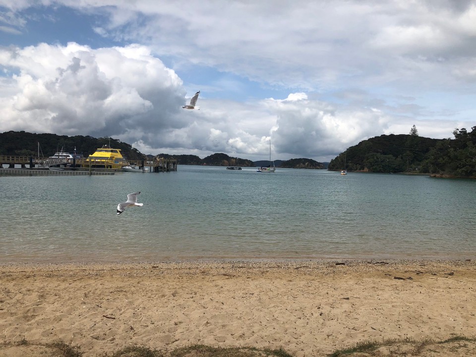 Neuseeland - Paihia - Halt in der Otehei Bay auf Urupukapuka Island, der grössten Insel der Bay of Islands. 