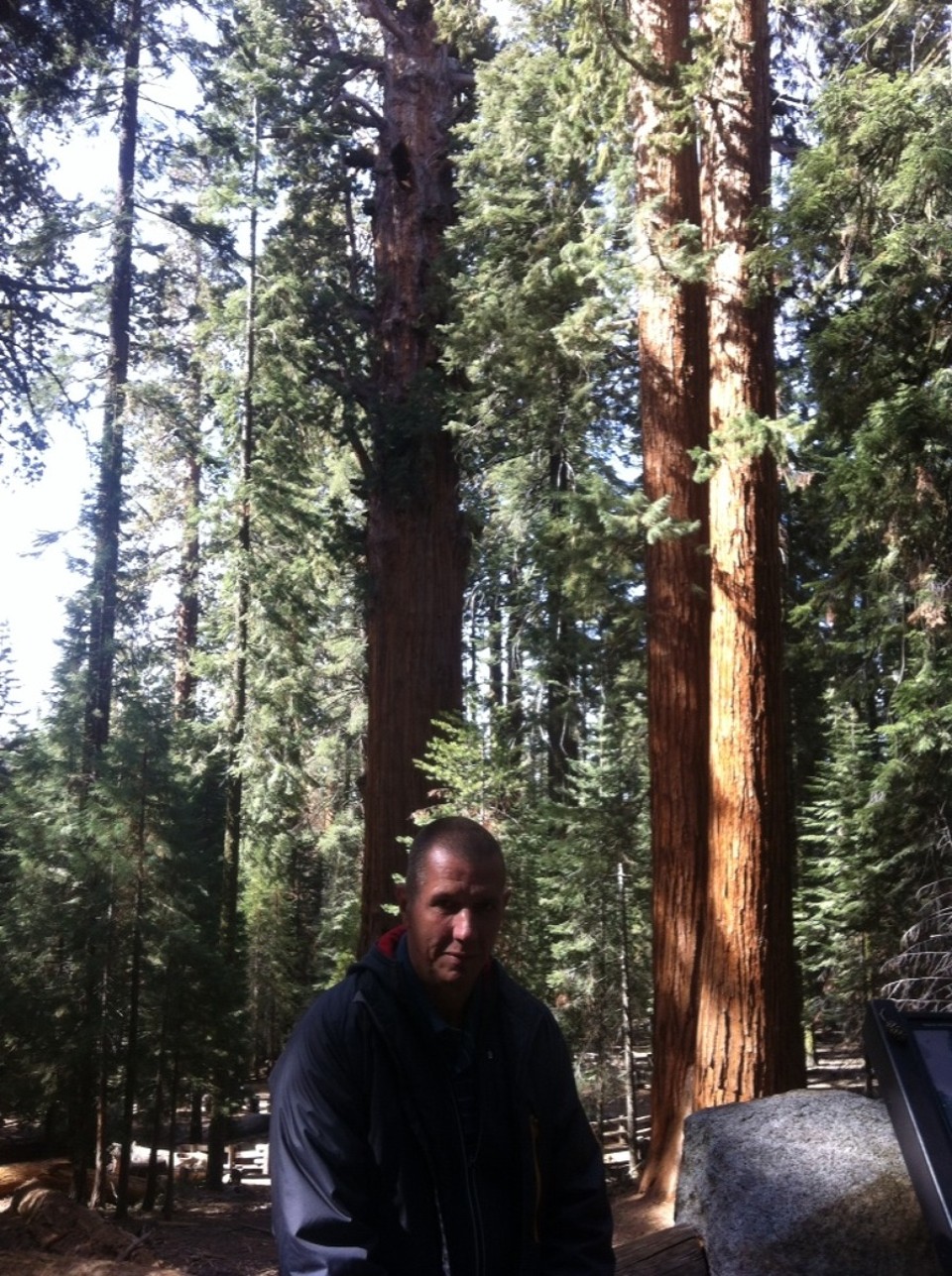 Egyesült Államok - Sequoia National Park - 