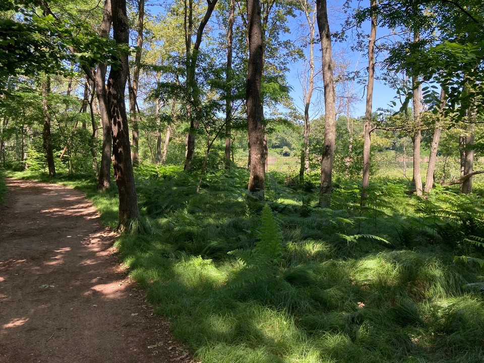 Italien - Dormelletto - Eindrücke aus dem Naturpark