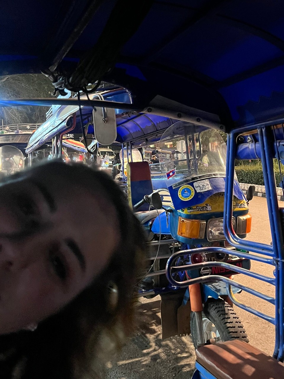 Laos - Luang Prabang - Molly gate crashing my photos again 