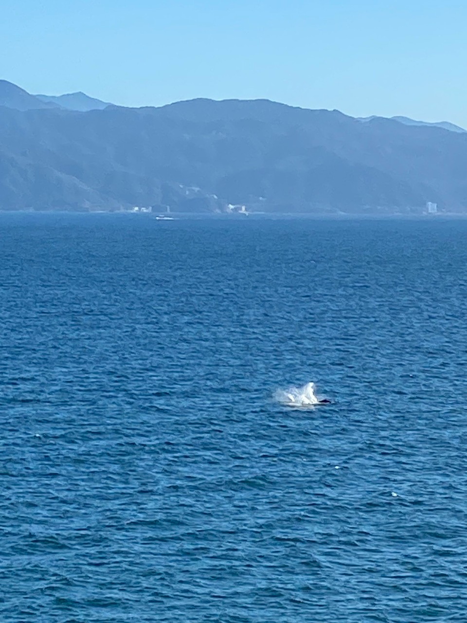 Mexiko - Puerto Vallarta - 