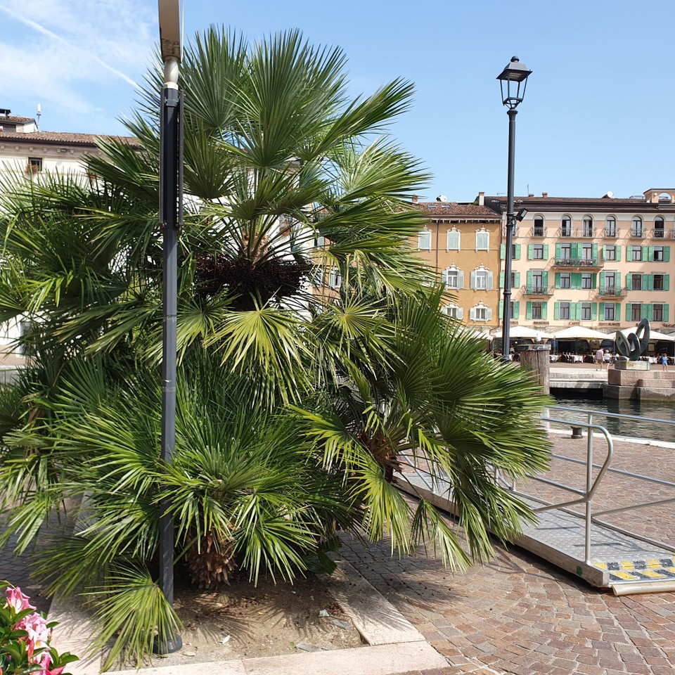 Italien - Riva del Garda - 