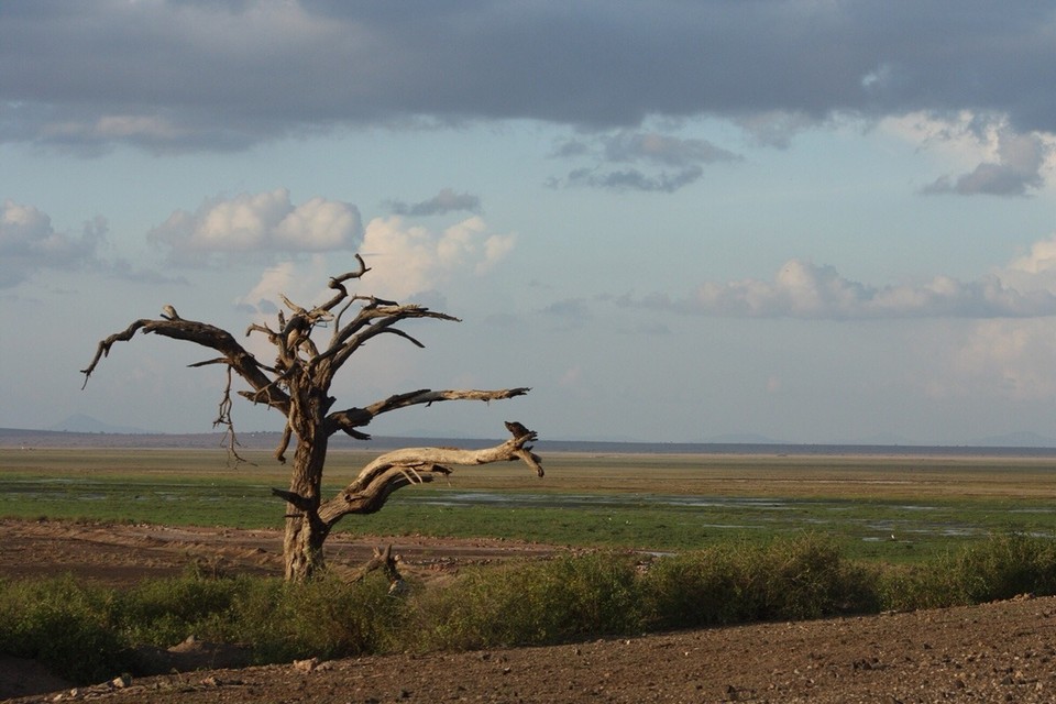 Kenia - Kajiado - 