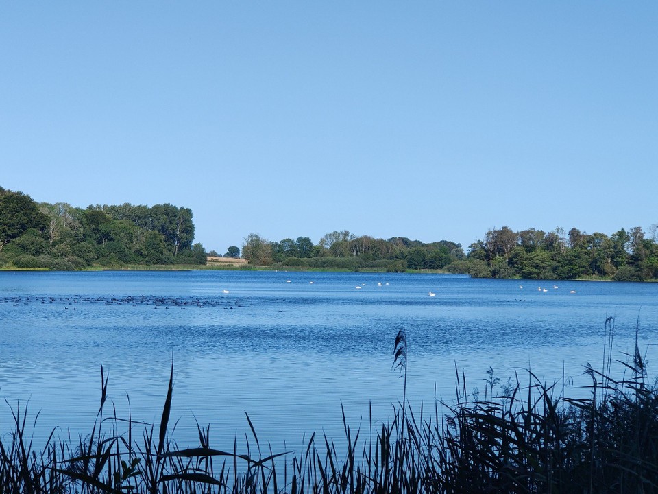 Dänemark - Øster-Ulslev - Hejrede Sø