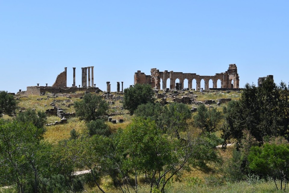 Marokko - Fes - Unseren ersten Stop machten wir in Volubilis, einer archäologische Stätte in der Nähe von Meknès.
Hier sind die am besten erhaltenen Monumente aus der römischen Antike in Marokko zu finden.