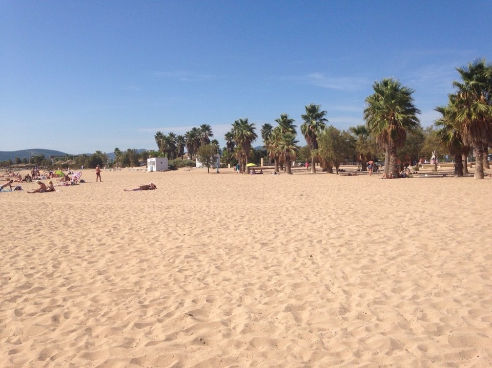 Frankreich - Saint-Raphaël - Von Palmen gesäumter Feinster Sandstrand in Frejus 