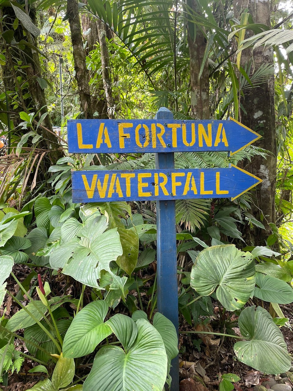 Costa Rica - San Carlos - Anschließend haben wir den La Fortuna Wasserfall besucht 🥾 
