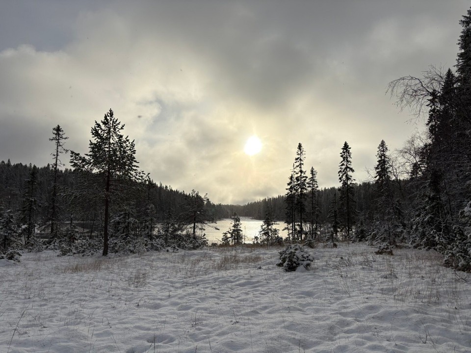 Schweden - Bjästa - 