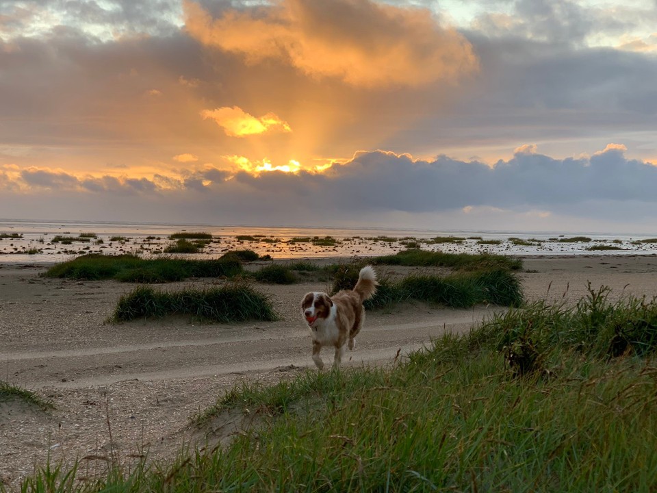 Danmark - Fanø - 