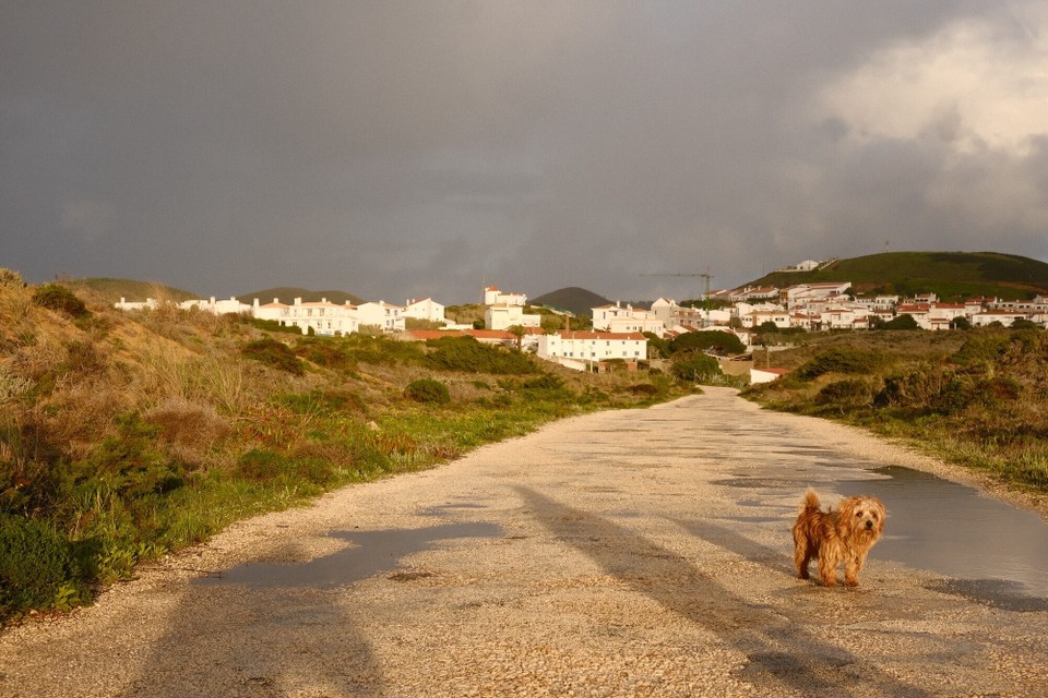 Portugal - Bordeira - 